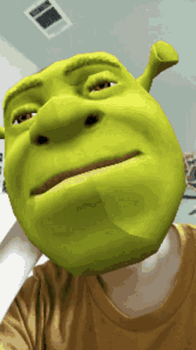 Shrek Ogre GIF - Shrek Ogre Camera Effect GIFs