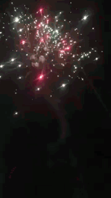 fireworks pop new year