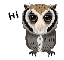 Owl Hi GIF - Owl Hi Sleepy GIFs