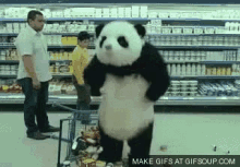 Panda Jumping GIF - Panda Jumping Grumpy GIFs