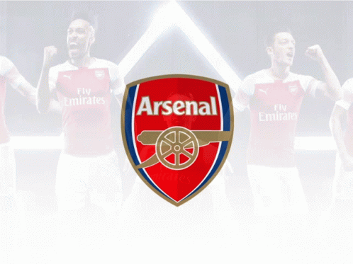 Arsenal GIF - Arsenal Ar GIFs
