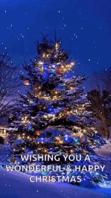 Snow Christmas Tree GIF - Snow Christmas Tree Christmas GIFs