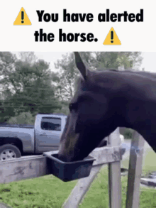 You Have Alerted The Horse Horse GIF - You Have Alerted The Horse Horse Gt When The GIFs