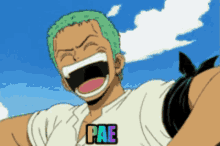 Pae One Piece GIF - Pae One Piece Luizdoro GIFs