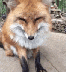 狐狸 可爱 想睡 GIF - Fox Cute Sleepy GIFs