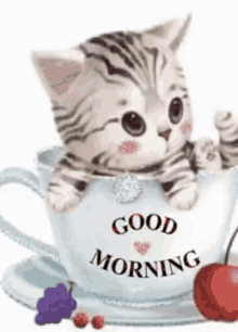 Good Morning Kitten GIF - Good Morning Kitten Tea Cup GIFs