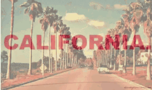 California Girl Trees GIF - California Girl Trees California GIFs