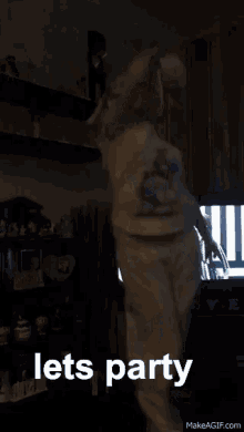 Charliemae Party GIF - Charliemae Party Dance GIFs