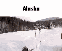 Alaska GIF - Alaska GIFs