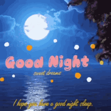 Good Night Have A Nice Dream GIF - Good Night Have A Nice Dream Have A Good Night GIFs