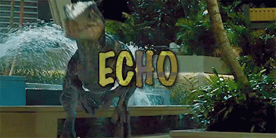 echo the velociraptor