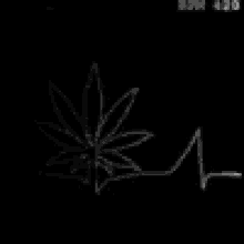 Beep Beep GIF - Weed Marijuana Ecg GIFs
