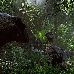 Jurassic Dinosaur GIF - Jurassic Dinosaur Raptor GIFs