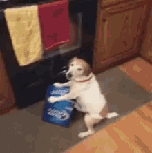 Dog Possessive GIF - Dog Possessive Beer GIFs
