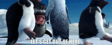 Happy Feet The Amigos GIF - Happy Feet The Amigos Lets Get Out Of Here GIFs