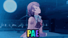 pae yukari yukari takeba luizdoro persona