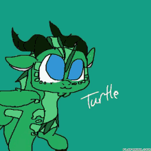 turtle winter