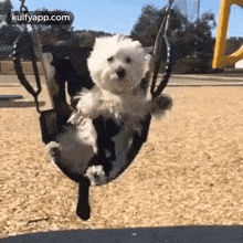 Puppy Day.Gif GIF - Puppy Day Wishes Trending GIFs