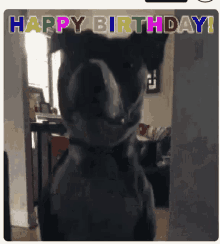Happy Birthday GIF - Happy Birthday Darius GIFs
