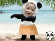 babypanda baby panda cute smile