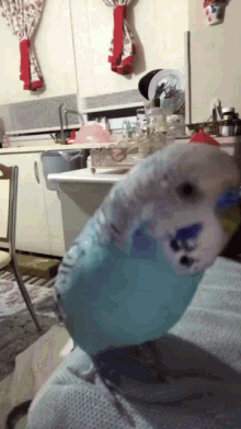 boncuk hera