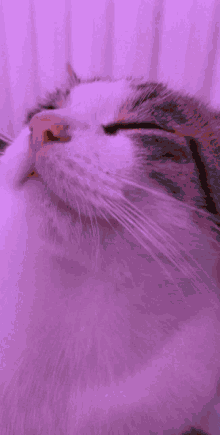 mihai