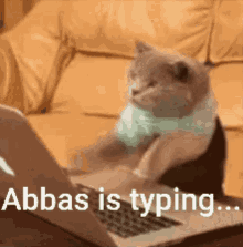 Typing Abbas GIF - Typing Abbas GIFs
