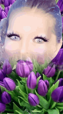 Purple Tulips GIF - Purple Tulips Flashing GIFs