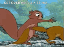 Squirrel Love GIF - Squirrel Love Hug GIFs
