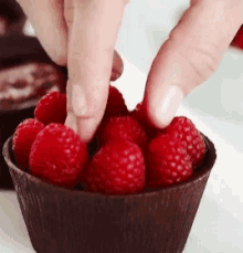 Raspberry Sweets GIF - Raspberry Sweets Treats GIFs