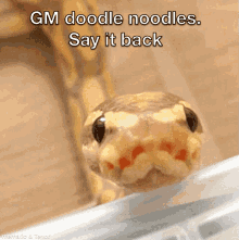 Doodle Noodles GIF - Doodle Noodles Doodlenoodles GIFs