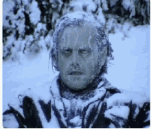 The Shining Frozen GIF - The Shining Frozen Cold GIFs