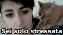stressed out you are stressed massage cat
