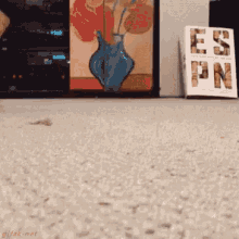 Cat Slipper GIF - Cat Slipper Carpet GIFs