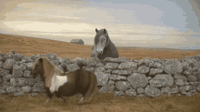 horse pony backwards deal with it moonwalk