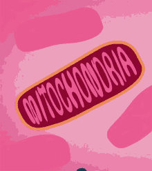 Mitochondria GIF - Mitochondria O2 H2o GIFs