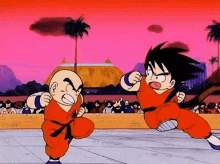 Goku Krillin GIF - Goku Krillin Dbz GIFs