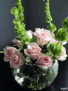 Pink Flowers GIF - Pink Flowers Flower Pot GIFs
