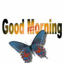 Good Morning Butterfly GIF - Good Morning Butterfly Sparkling GIFs