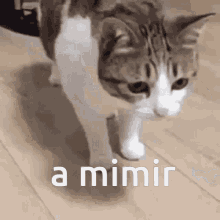 A Mimir GIF - A Mimir GIFs