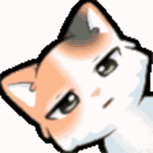 riley riley on twitch twitch streaming streamer riley riley on twitch twitch streaming streamer