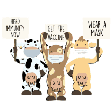 herd immunity now cow get the vaccine wear a mask protest sign