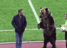 bear clapping