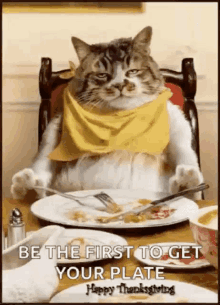 Happy Thanksgiving Grumpy GIF - Happy Thanksgiving Grumpy Be The First To Get Your Plate GIFs