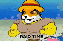 private foxes private foxes raid raid raids raid time