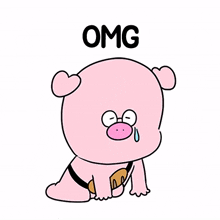 pig pink piggy cute omg