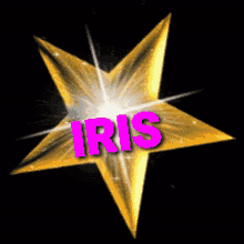 Shqiponja Iris GIF - Shqiponja Iris Stella GIFs