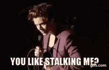 Harry Styles Stalker GIF - Harry Styles Stalker Stalking GIFs