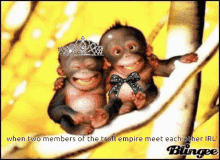 Troll Empire Monkey GIF - Troll Empire Troll Monkey GIFs