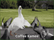 M_kamee M_coffee GIF - M_kamee M_coffee GIFs